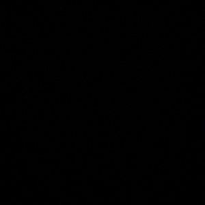 Meet your Posher, Victor